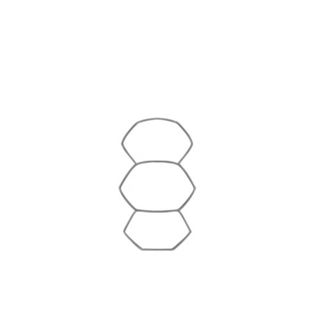 How to Draw a Turtle for Teens Step 01