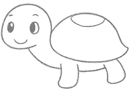 How to Draw a Turtle for Tweens Step 03