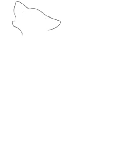 How to Draw a Wolf for Adults Step 01