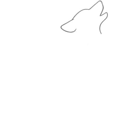How to Draw a Wolf for Teens Step 01