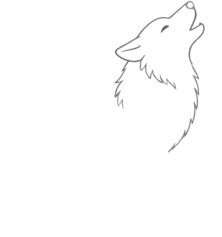 How to Draw a Wolf for Teens Step 02