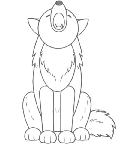 How to Draw a Wolf for Tweens Step 06